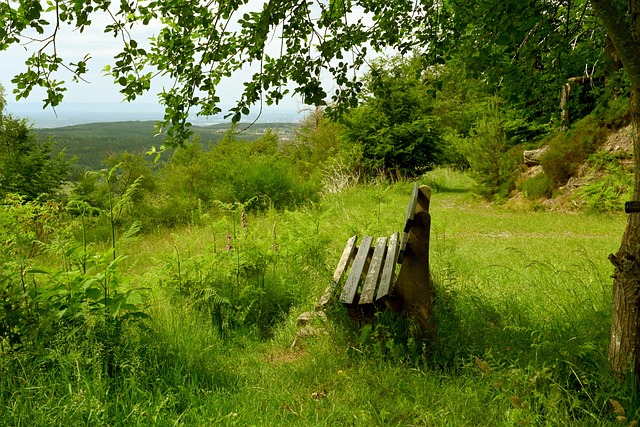 更多的席位 更多的席位