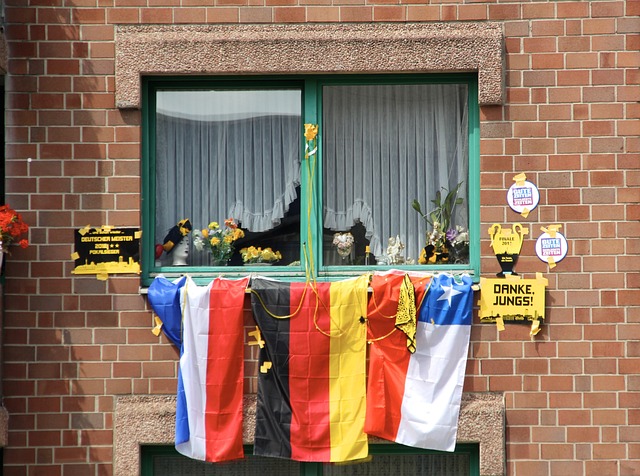 各个运动领 各个运动领