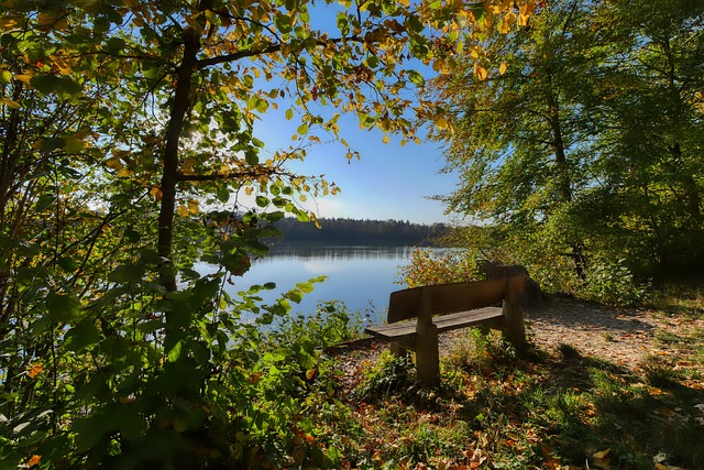 而忽略了本 而忽略了本