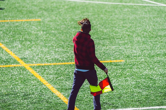 助国王获胜 助国王获胜